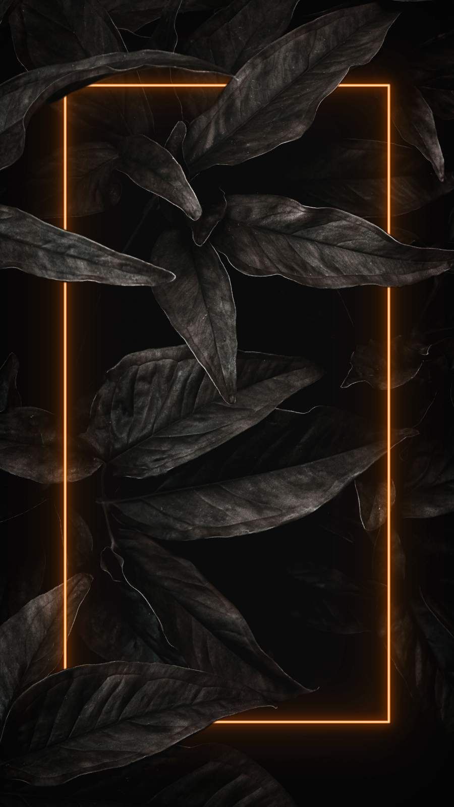 Black Nature Neon - IPhone Wallpapers