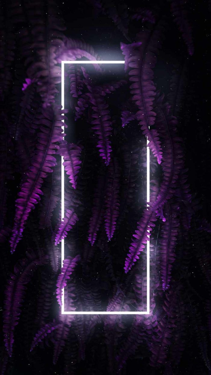 Purple Plants Neon Nature - IPhone Wallpapers