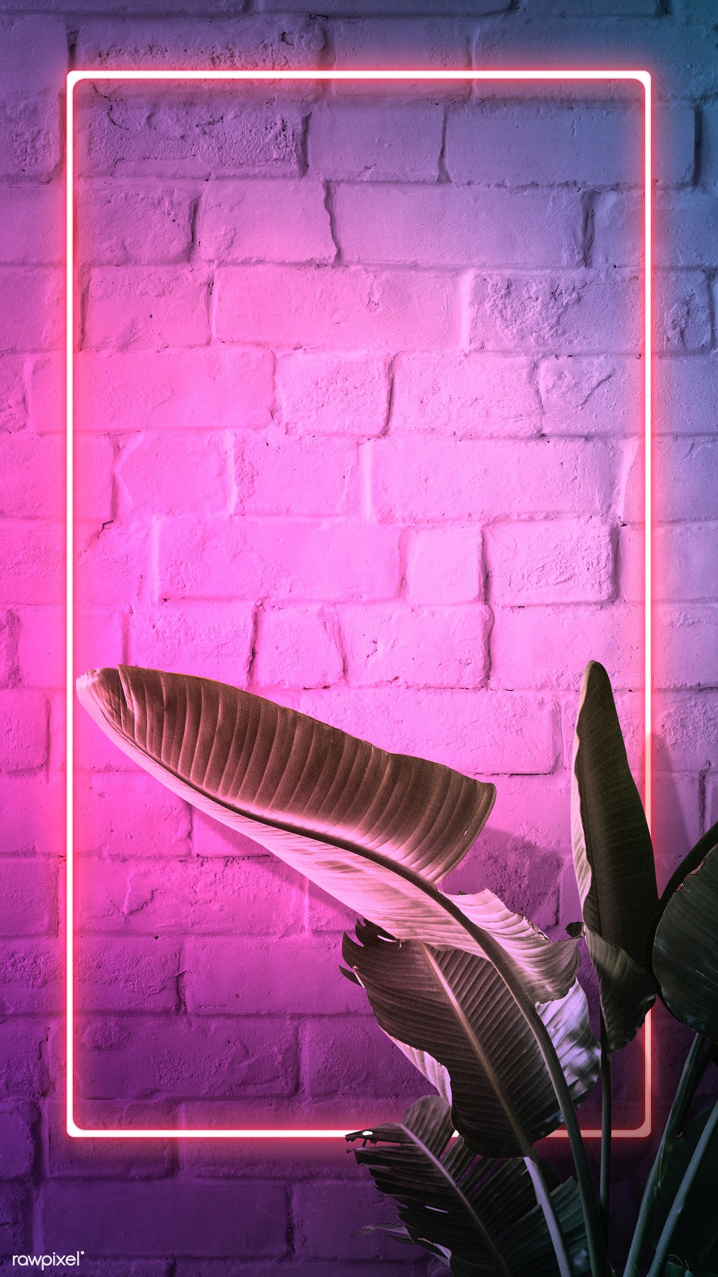 Download premium psd / image of Tropical pink neon lights phone screen wallpaper by Jubjang about banana leaf, rectangular brick neon background, brick wall, purple, and banana tree 1223344