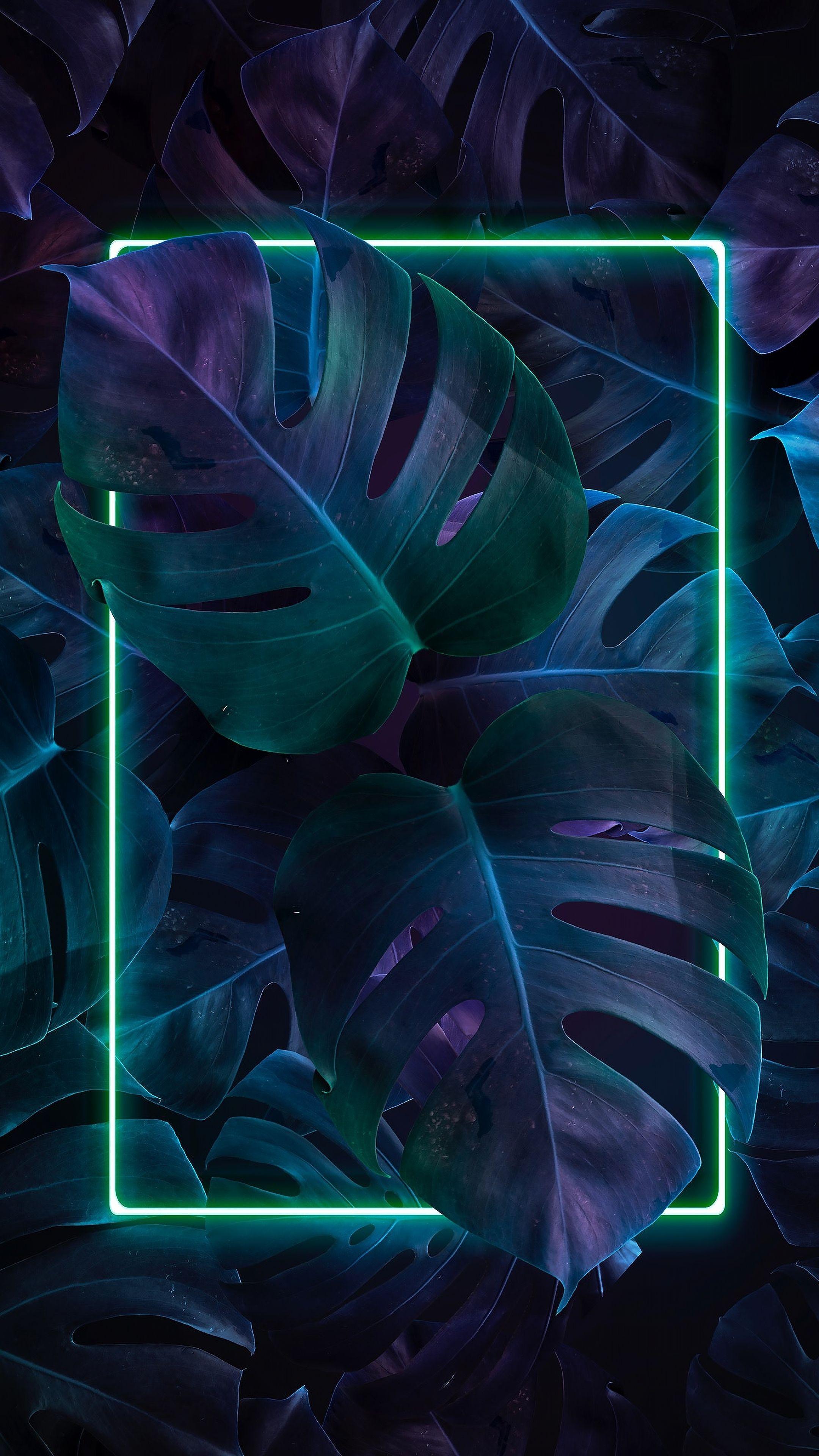 Plants, vepoware, art, 2160x3840 wallpaper