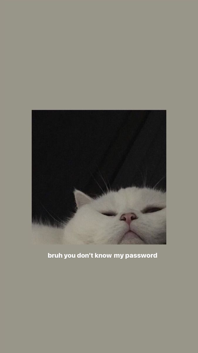 Funny Lock Screen