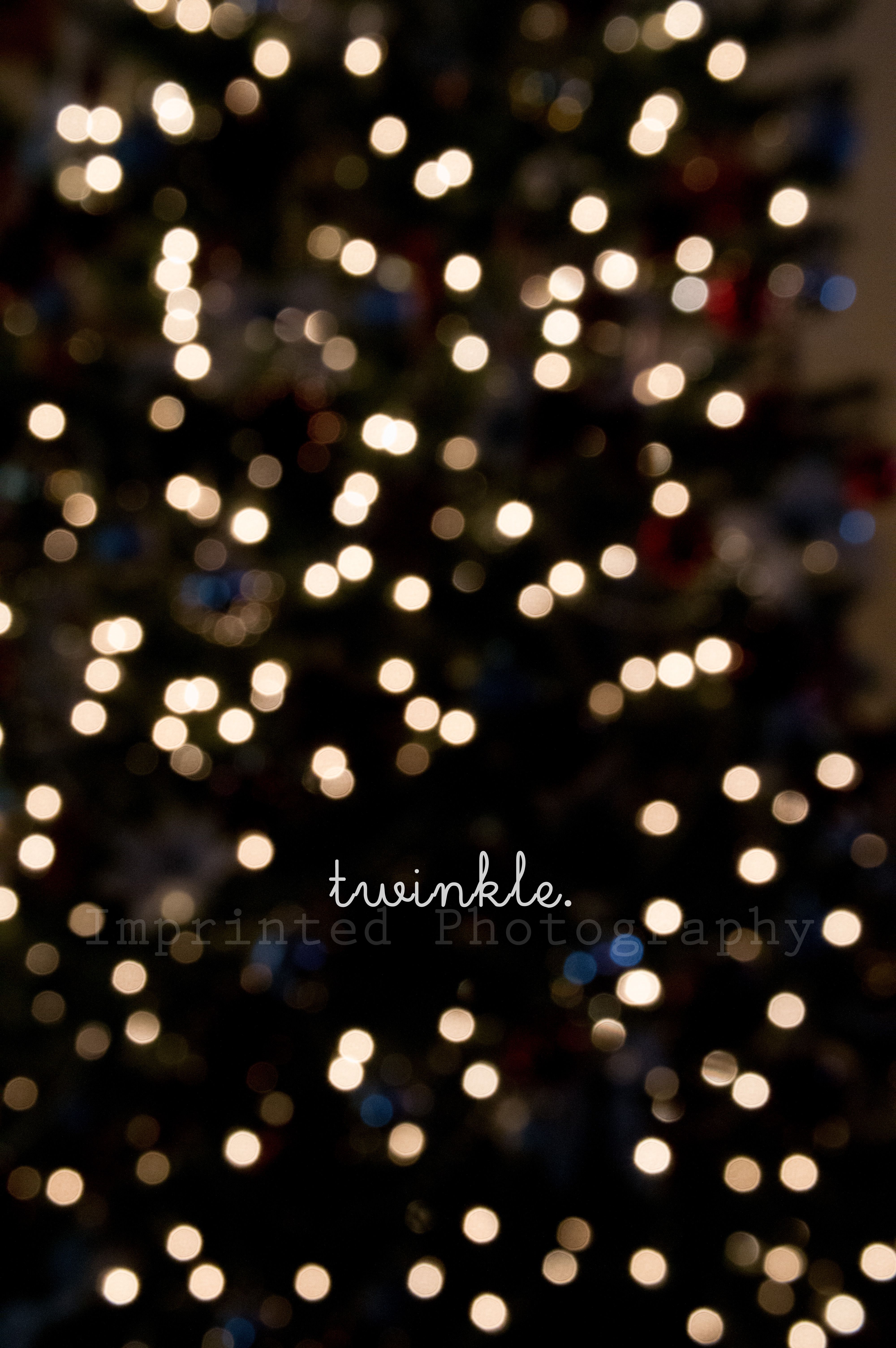 Twinkle. © To see more, please visit www.facebook.com/ImprintedPhoto