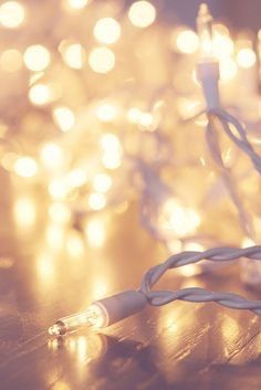 Strand of white christmas lights on hardwood floor. Portrait mode....