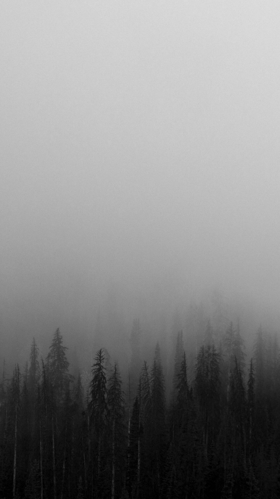 Black-and-White-Mist-Forests-Wallpaper - IPhone Wallpapers