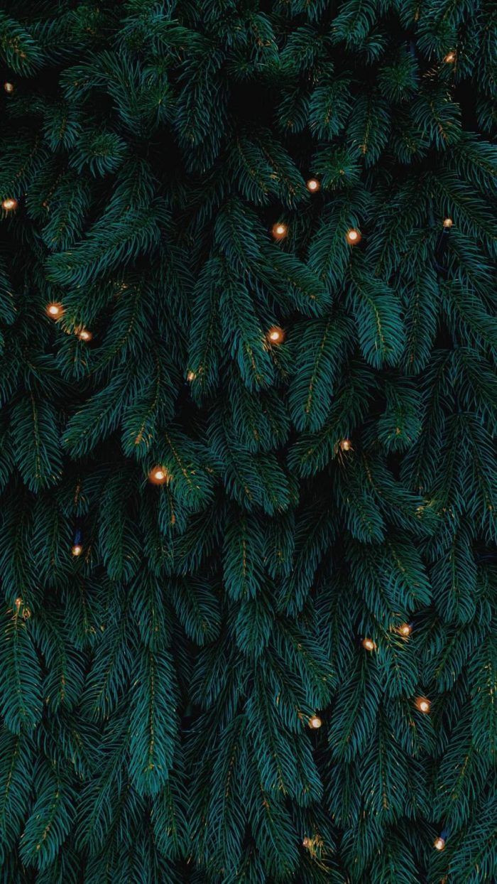 Christmas Tree Background - IPhone Wallpapers