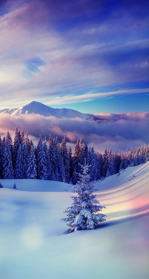 Download Free Android Wallpaper Snow