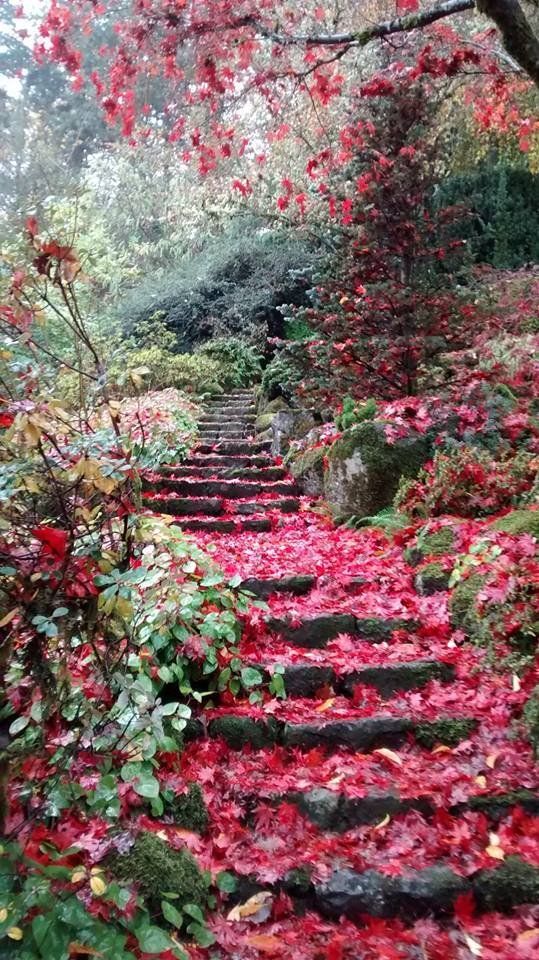 There's A Little Known Unique Garden In Portland... And It's Truly Magical