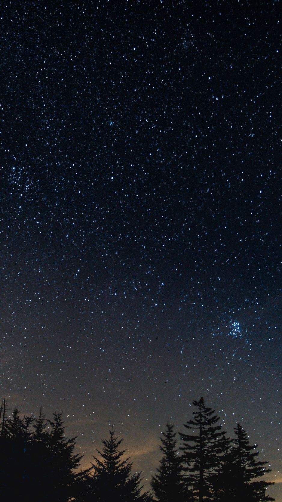 Starry sky, night, trees background