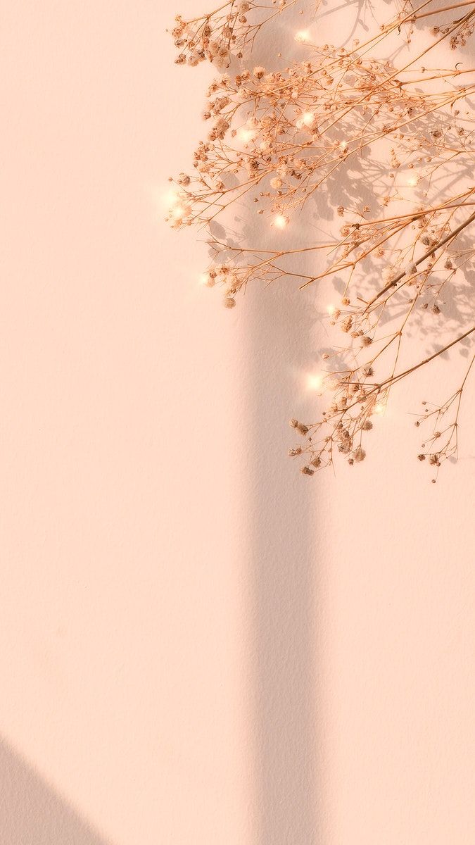 Download premium image of Dried flower window shadow floral background by Ning about wallpaper, beige aesthetic photo, iphone wallpaper, flower background, and beige sparkle dried flower image background 2685489