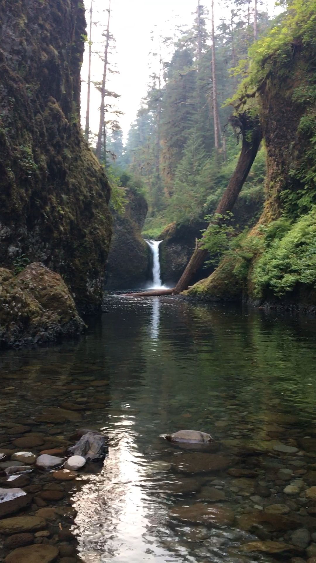 Punchbowl Falls near Portland, Oregon