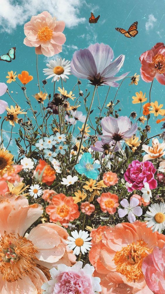 25 Beautiful Flower Wallpapers For iPhone (Free Download!)