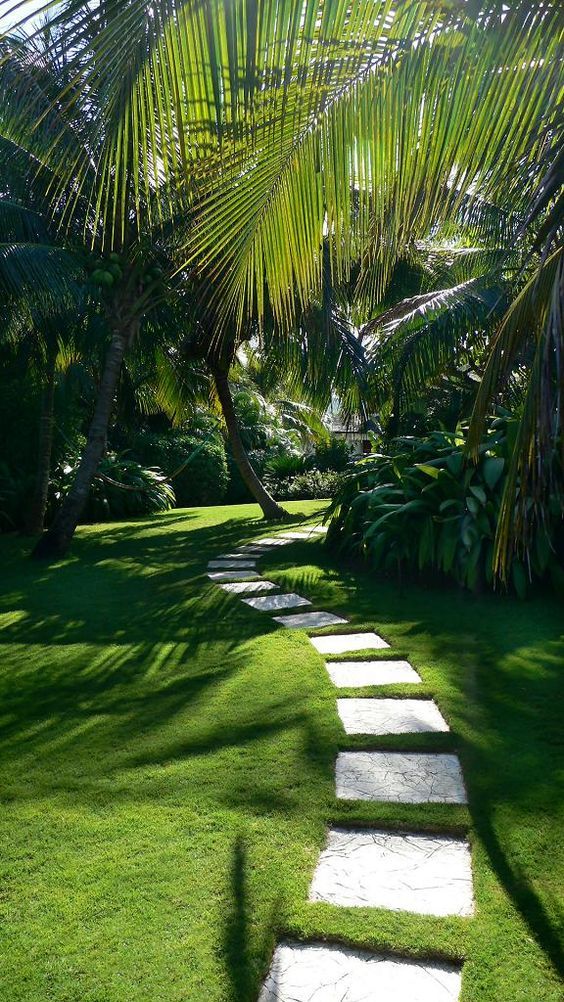 craig reynolds landscape architect Tropical Garden Idea's Garden, Tropical landscaping, Backyard landscaping