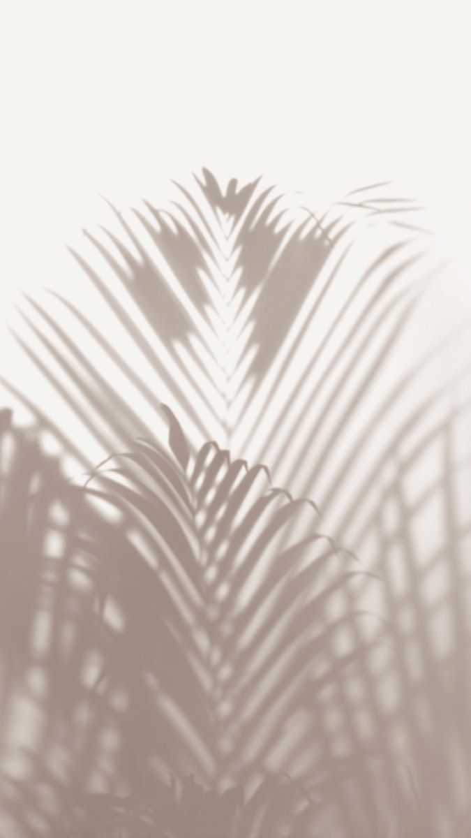 Download premium image of Aesthetic iPhone wallpaper, minimal beige background by Teddy about palm tree shadow, iphone wallpaper, beige minimalist wallpaper, leaves shadow, and minimal wallpaper iphone 4060007