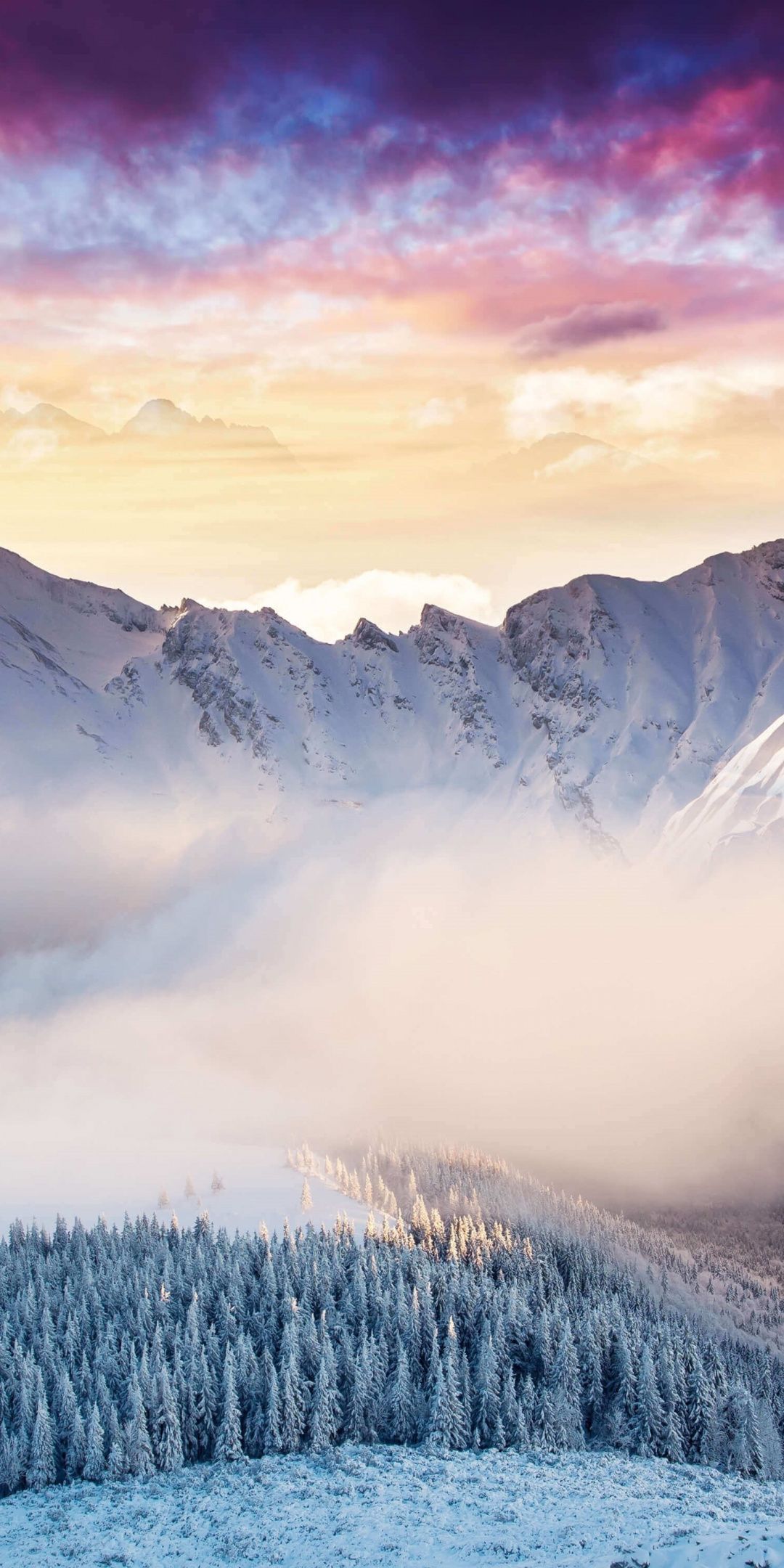 Landscape, mountains, winter, forest, clouds, 1080x2160 wallpaper