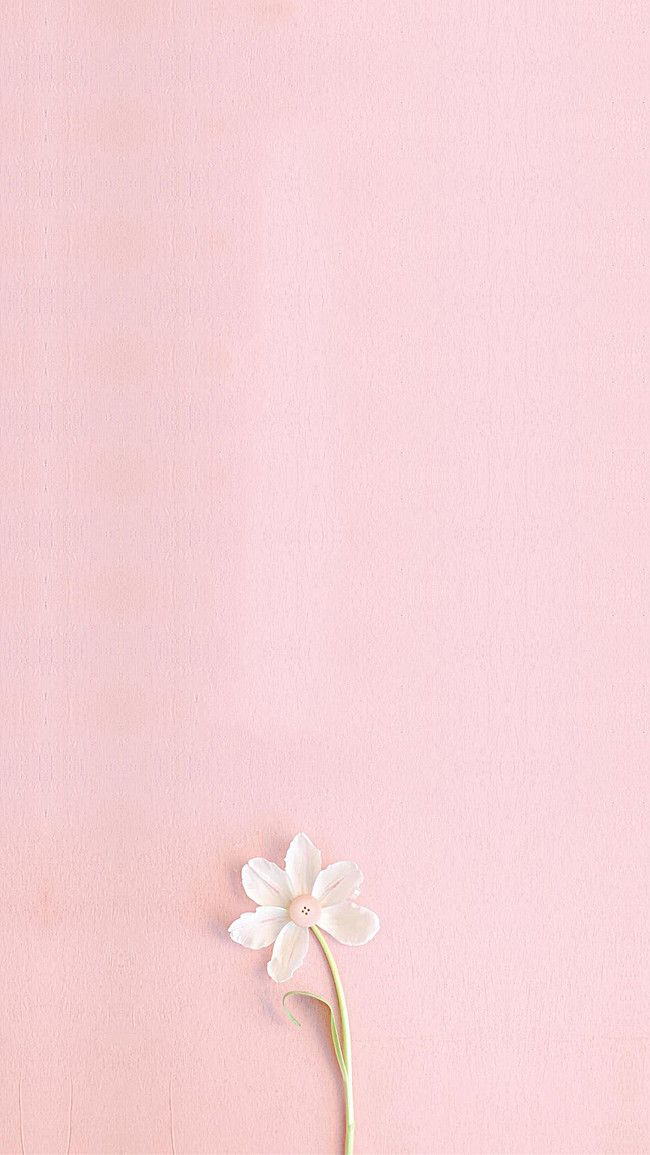 Pink Fresh H5 Background Art