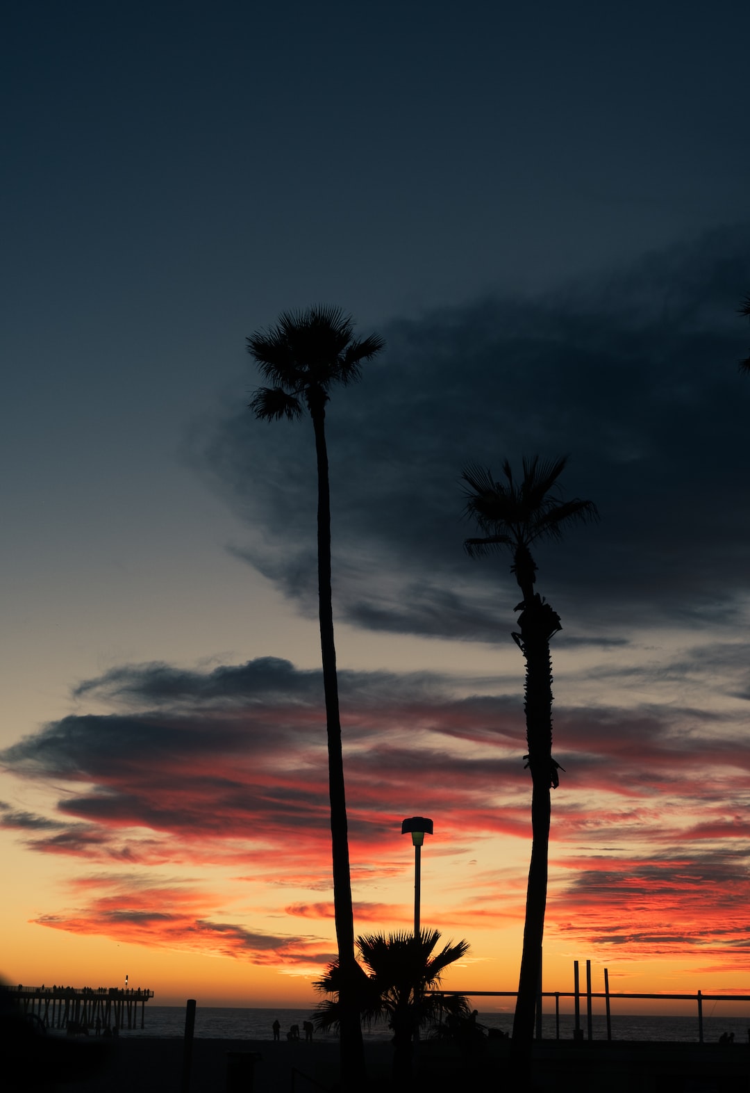 Palm trees and sunsets