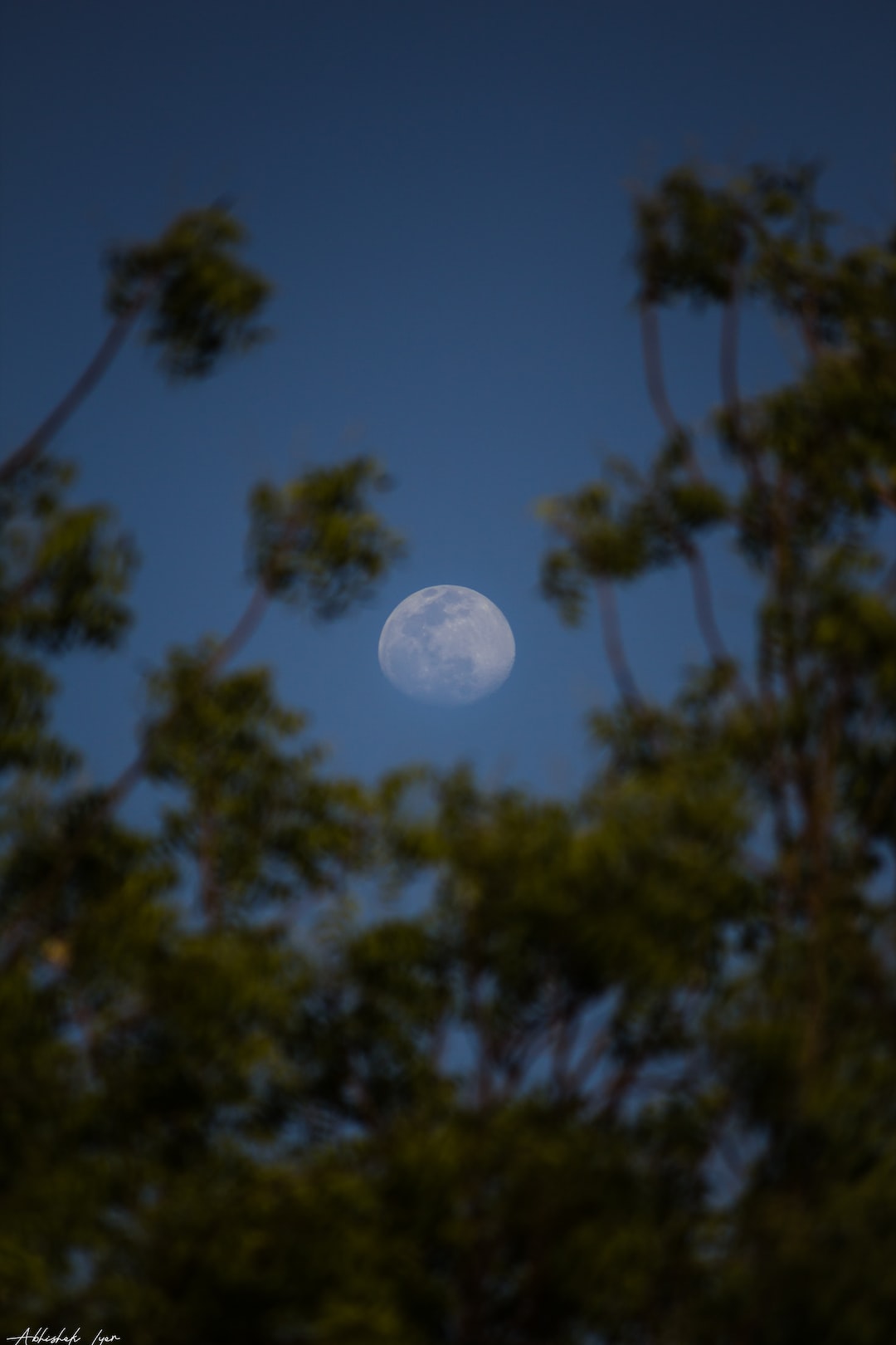 Moon Shot for Phone Wallpaper