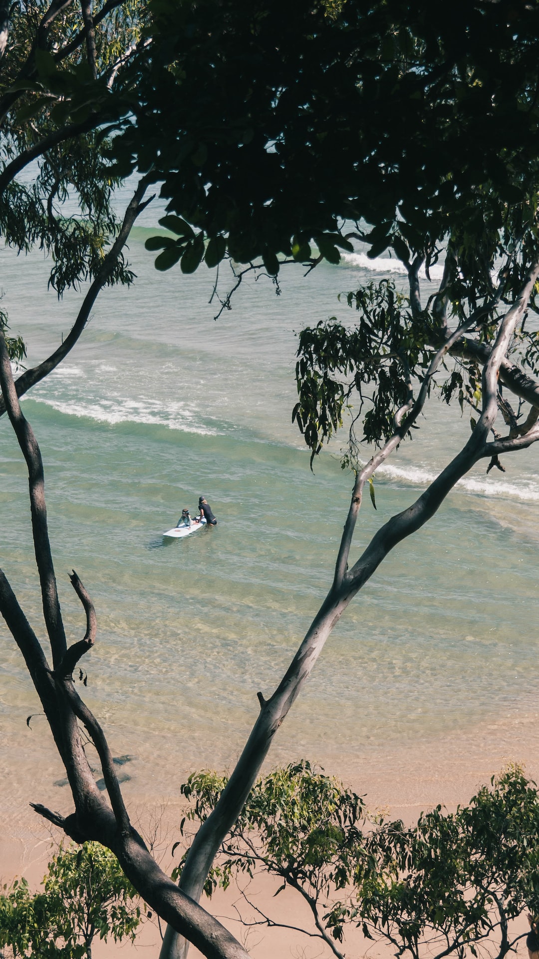 People in paradise surfing.