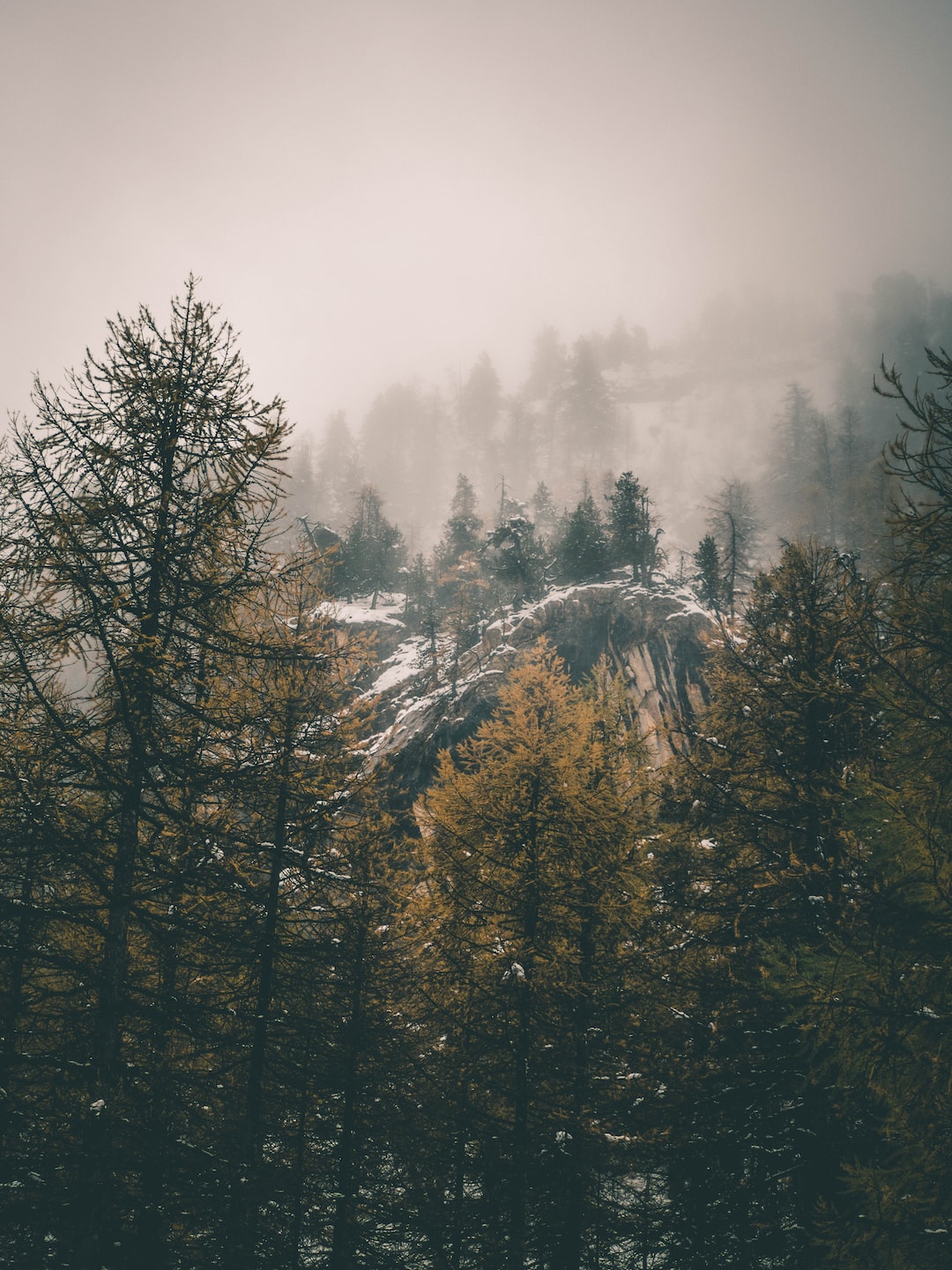 First shot I took during the hiking, the weather wasn’t great but I love fog.