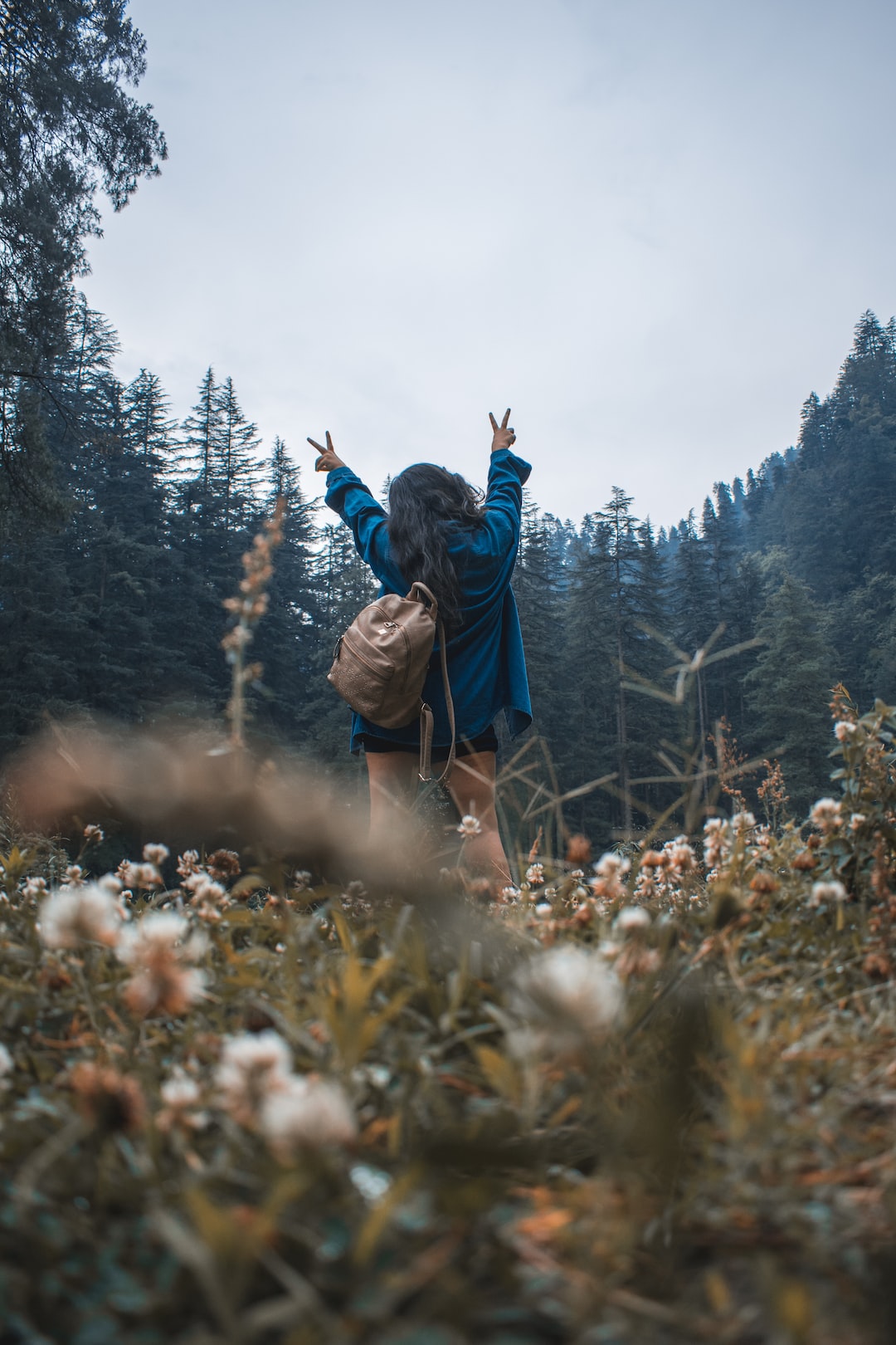 Girl standing in Mountains