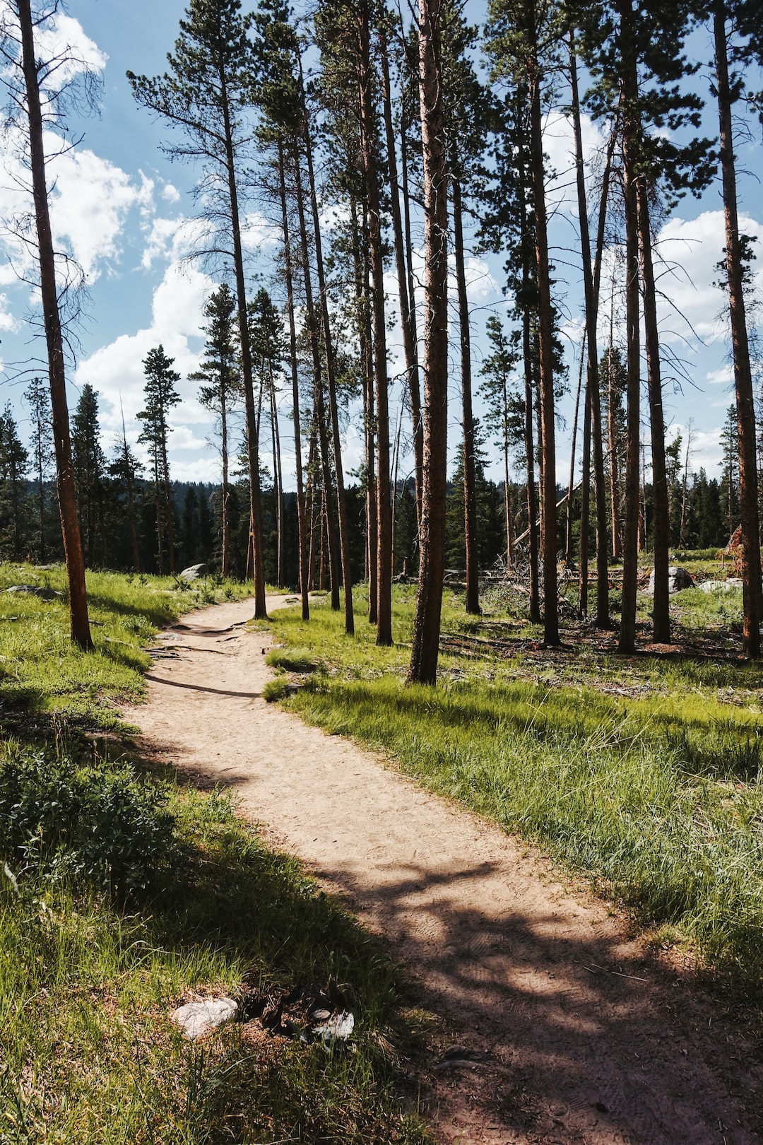 The trail to Sprague Lake