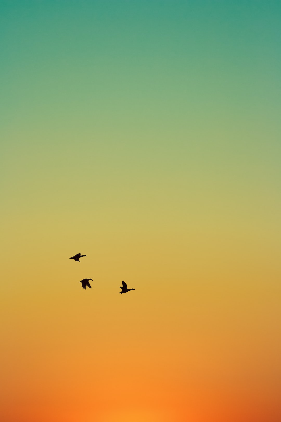 sunset gradient