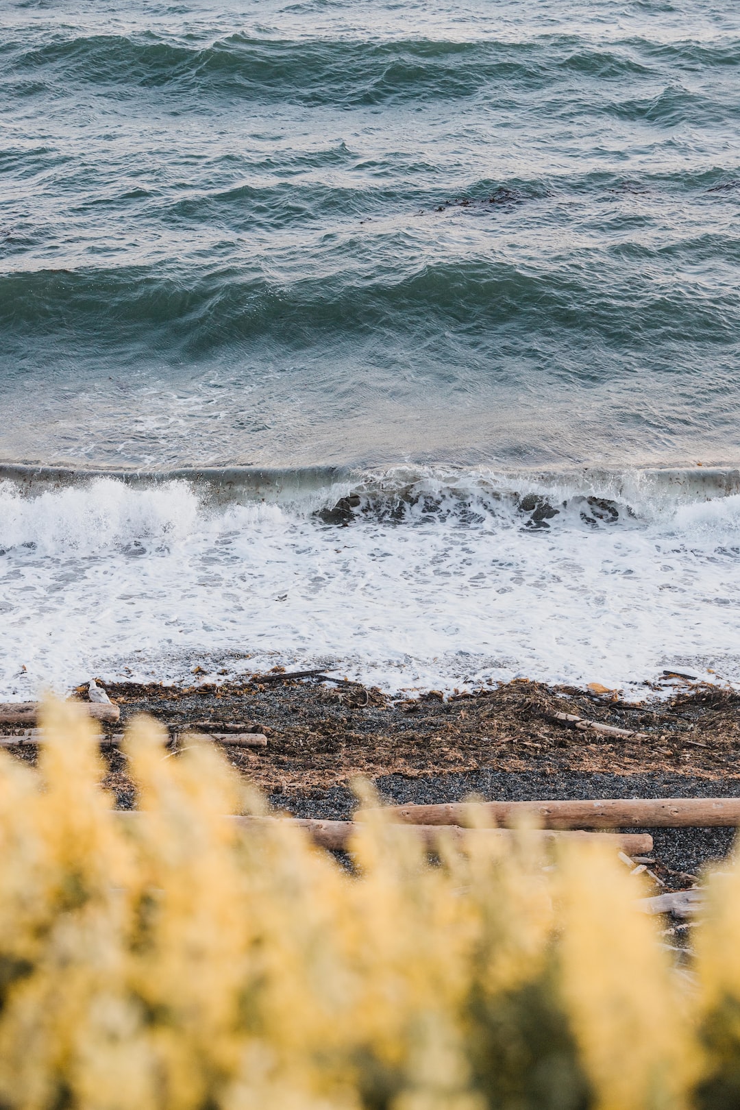 ocean waves and yellow flowers. phone background