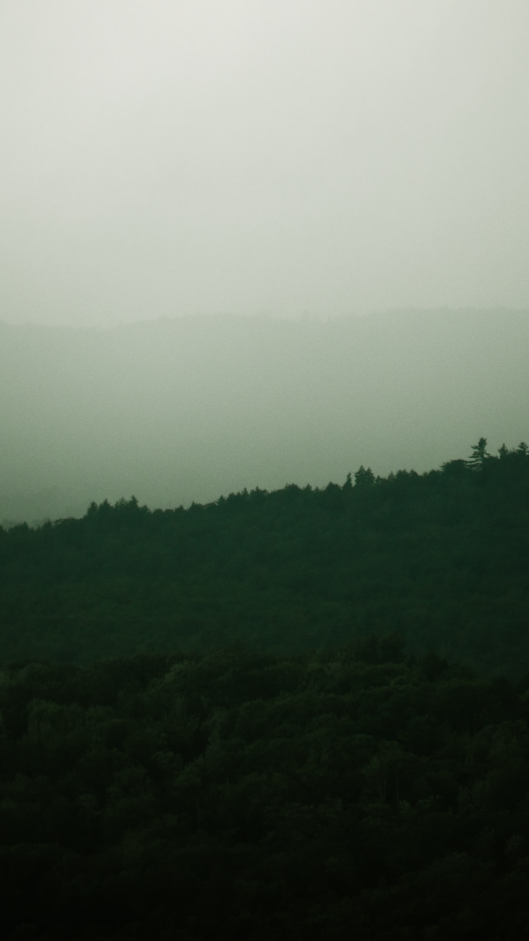 Misty mountainscape with trees silhouetted.