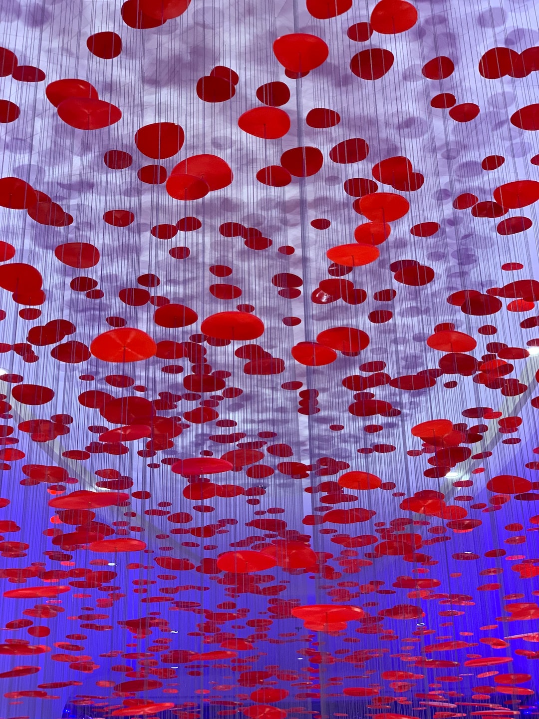 Suspended red petals