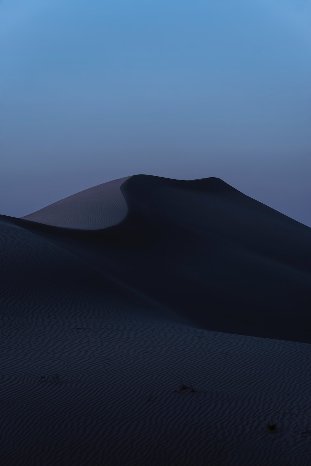 Desert Dusk