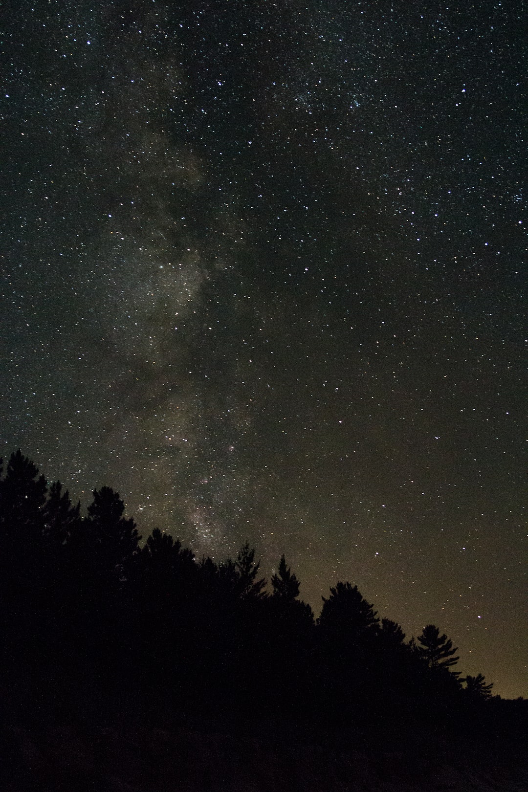 Stars Forest Pictured Rocks