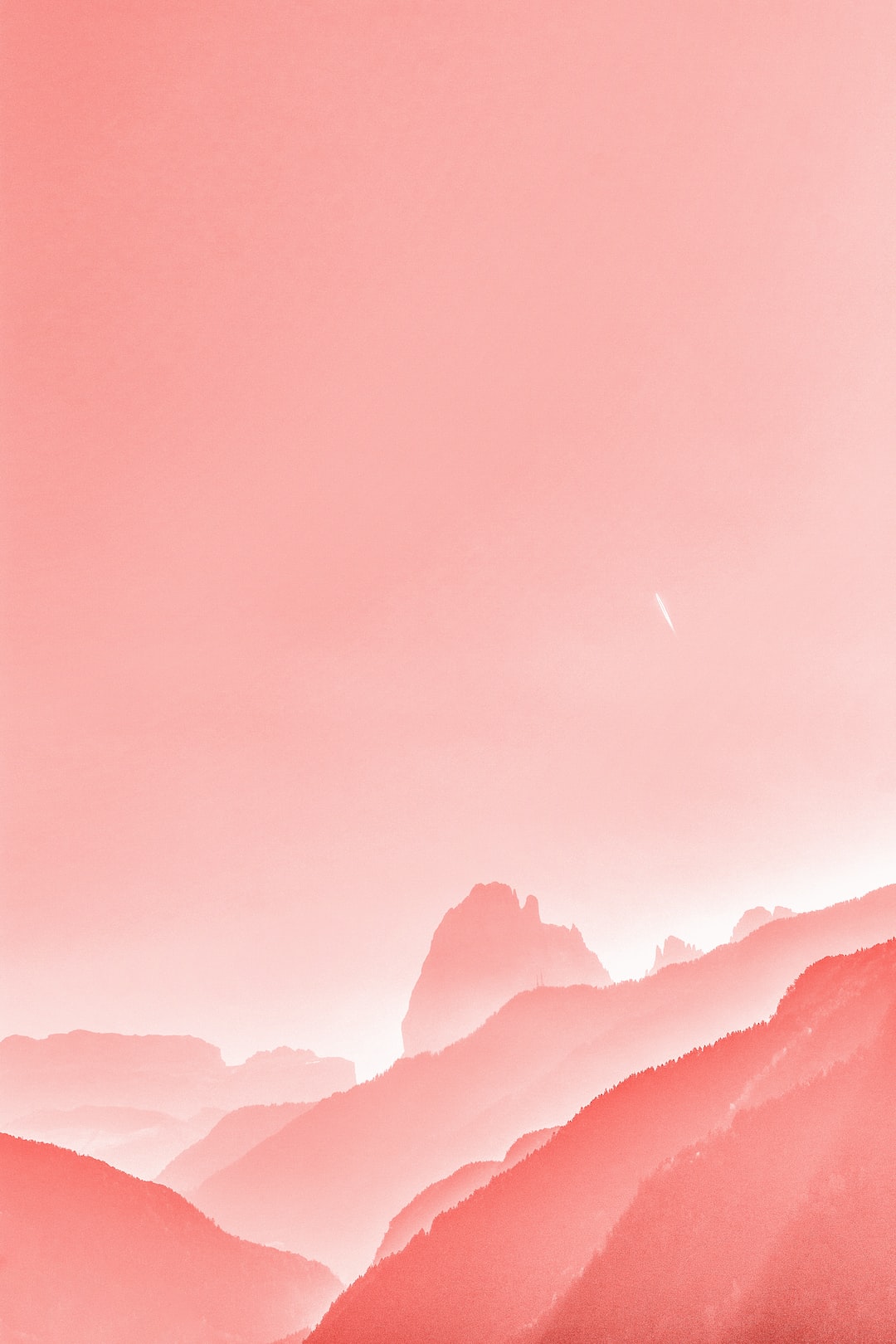 Allegory of nature on color Pantone Living Coral , Color #fa7268 of the Year 2019!