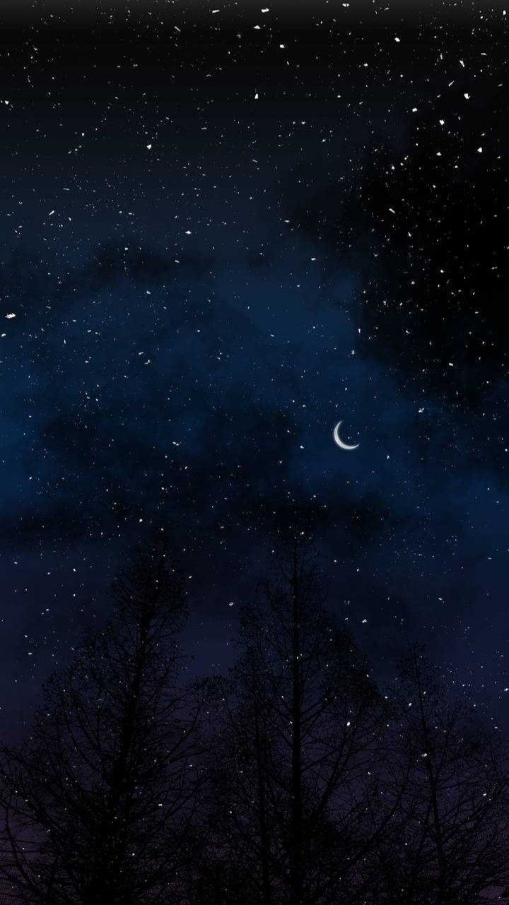 Night sky View Phone Wallpaper