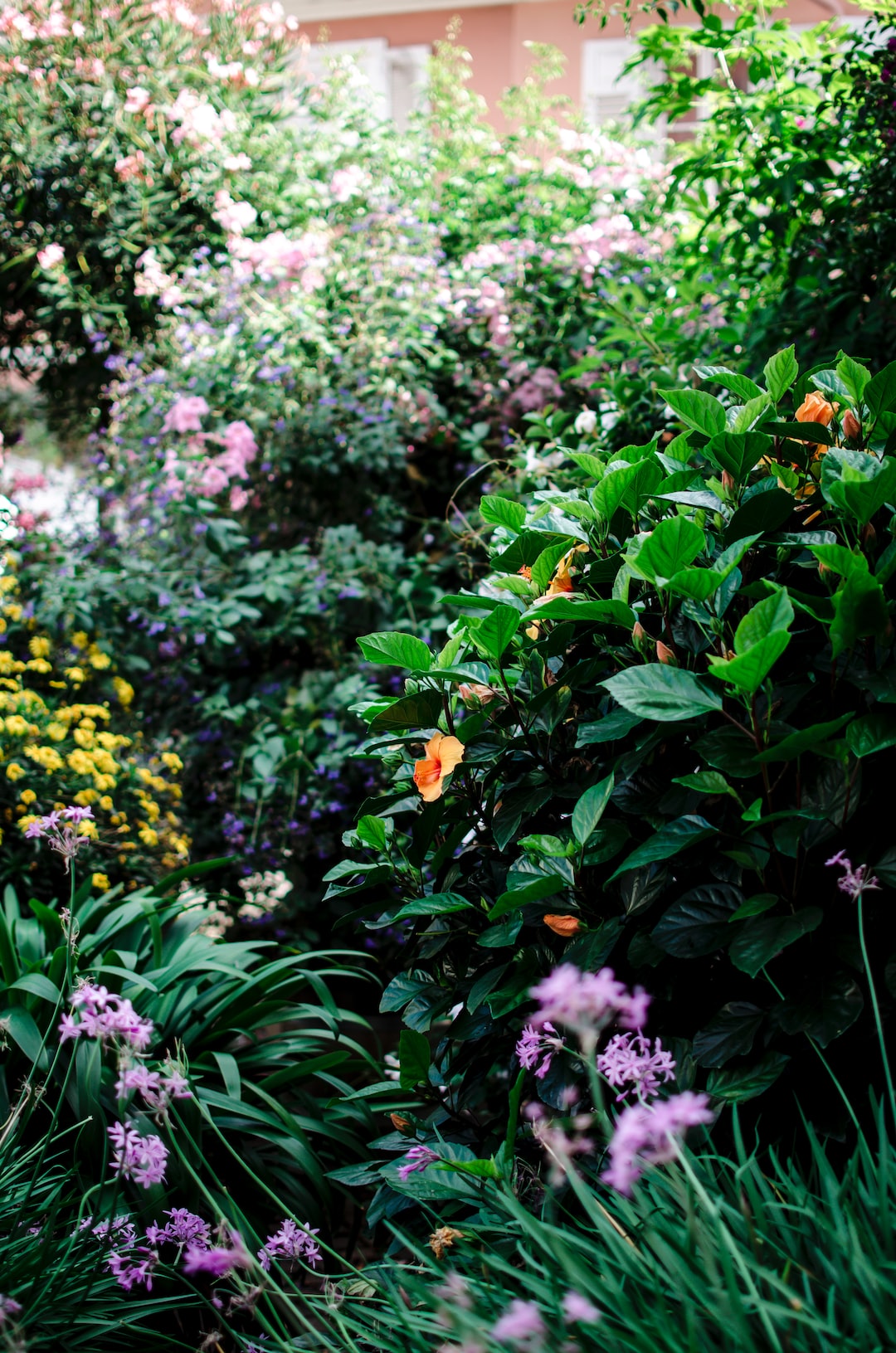 Flowers on the city centre