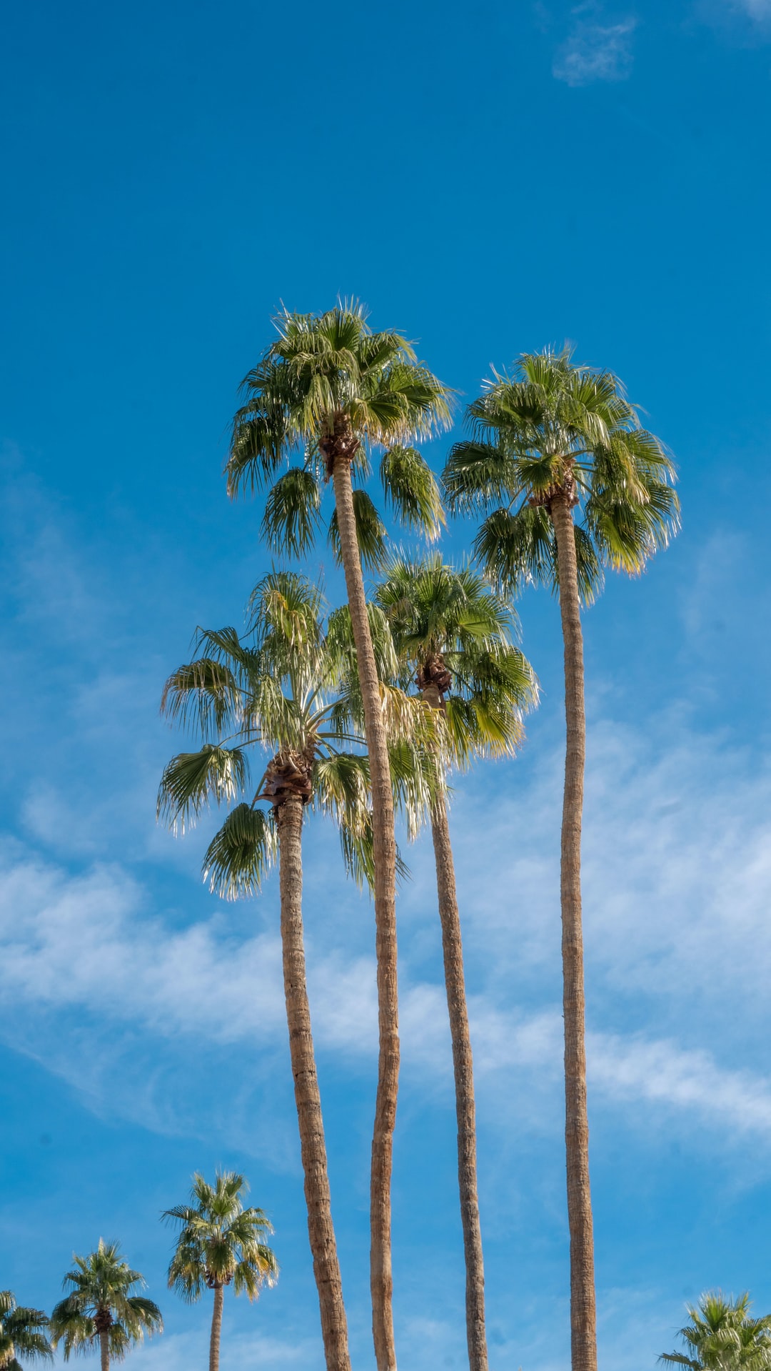 A film trip to Palm Springs, California.