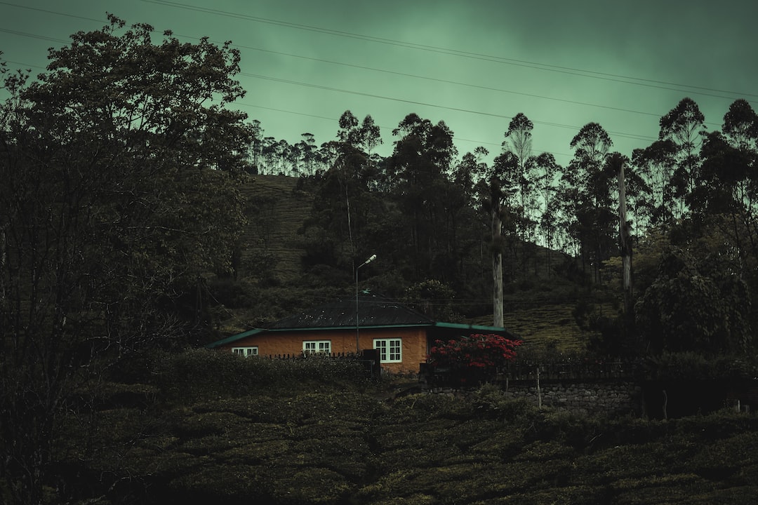 A beautiful vintage house in a mountain