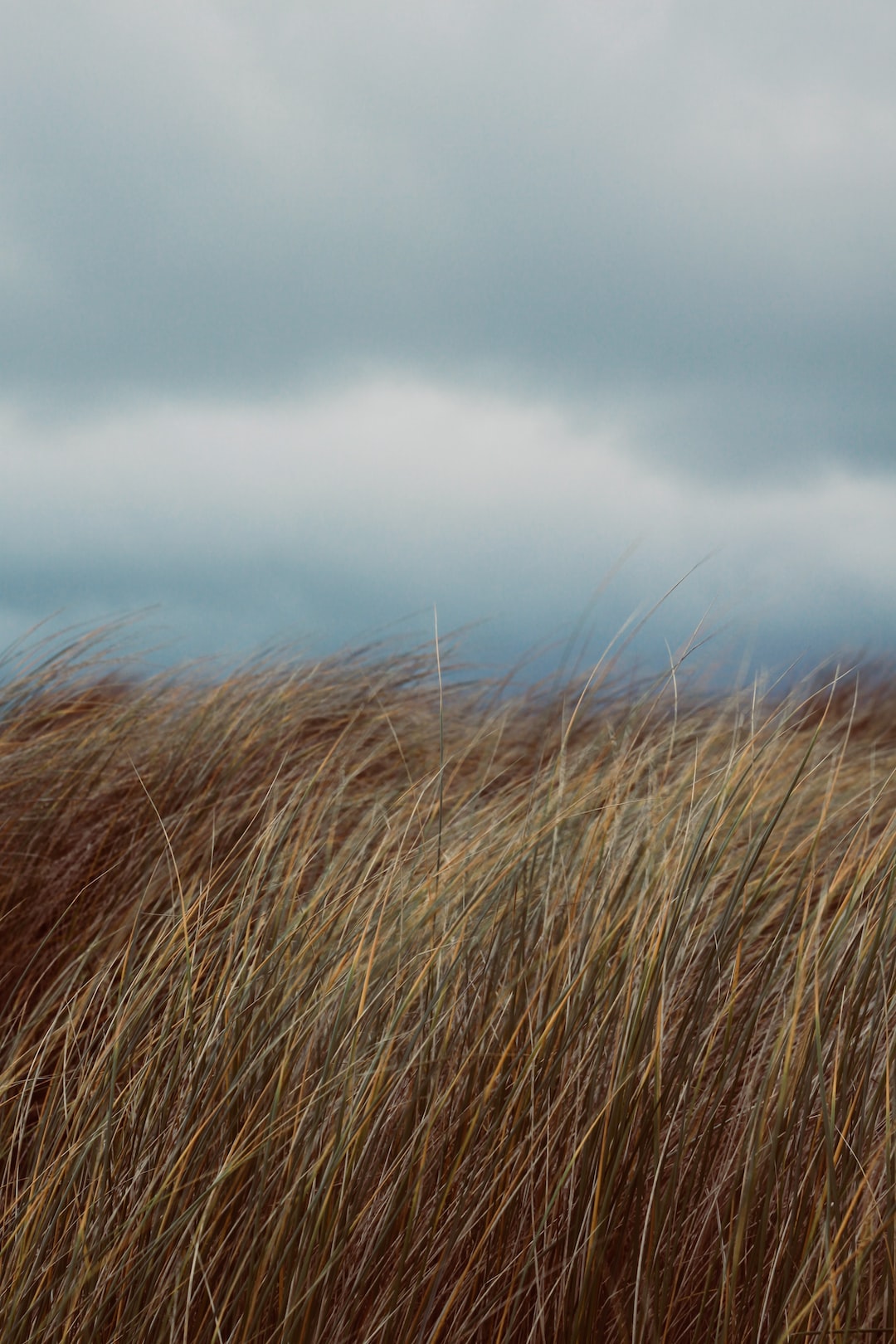 Moody days in the dunes