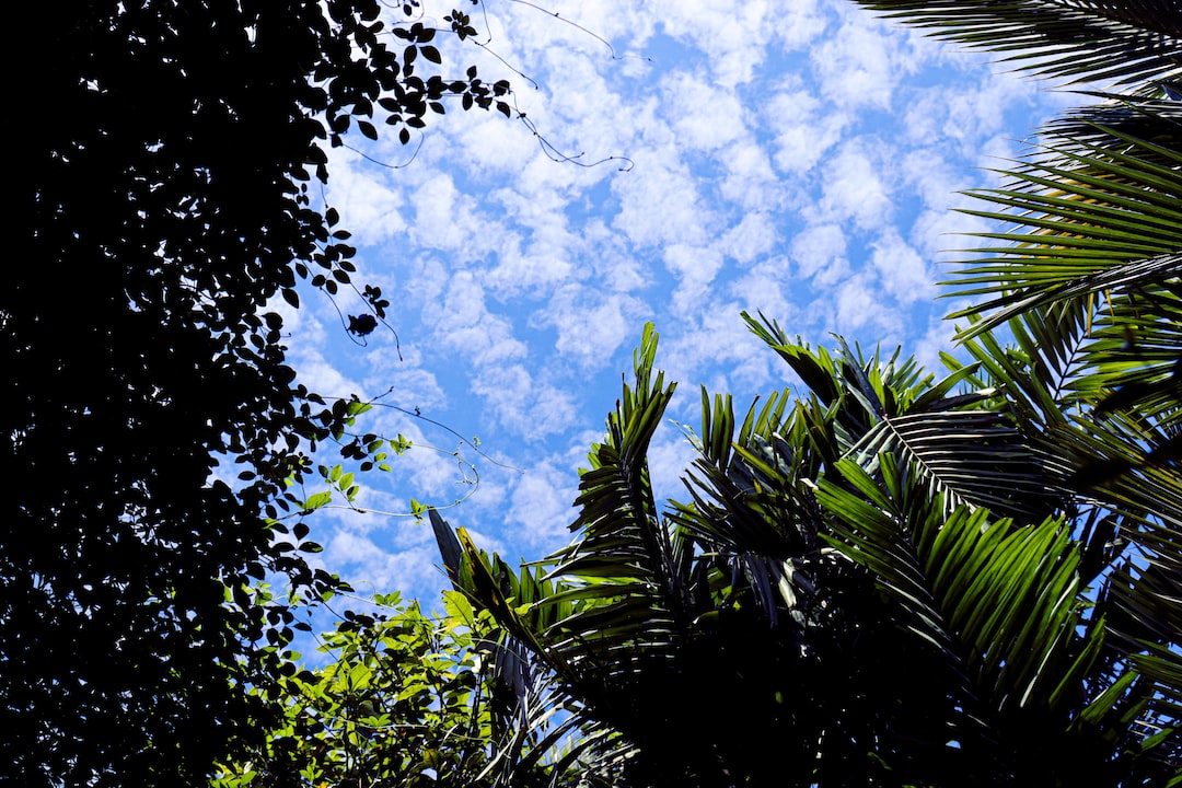 The lovely Tropical weather of Sri lanka