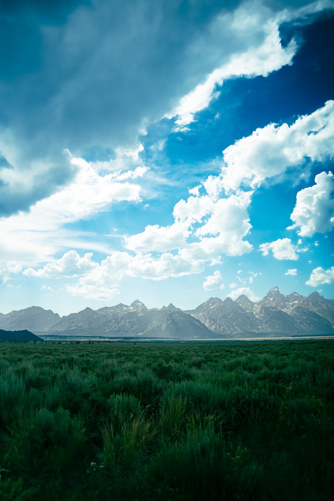 Evening drive @ Grand Teton