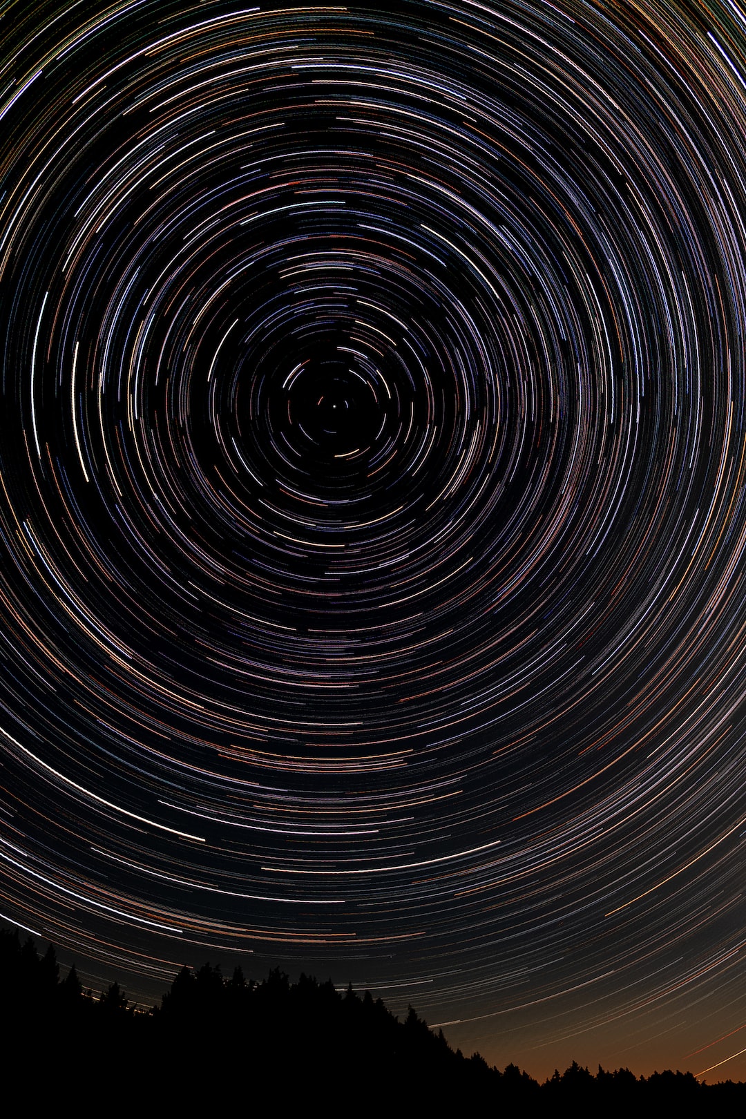 Long exposure star trails centered on North Star with trees silhouetted in foreground.