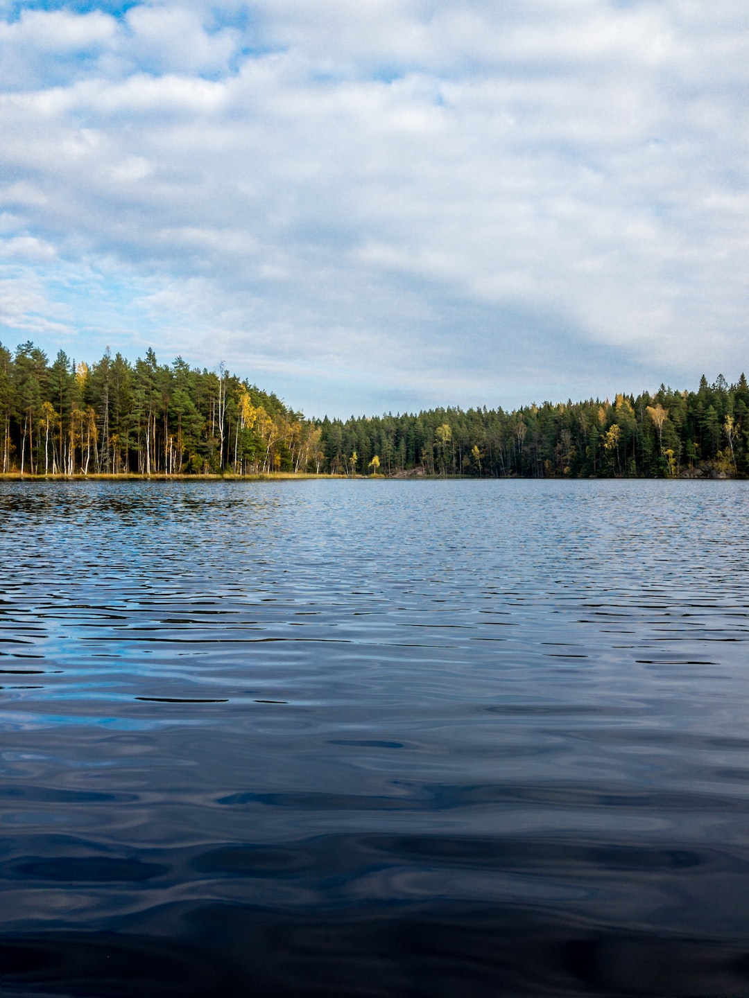 We hiked to the Nuuksio national park here in Finland and while walking through the forest, I stumbled upon this beautiful scene. The water is very calm and you can see the autumn changing colours of trees. Also there are a lot of pine trees :)