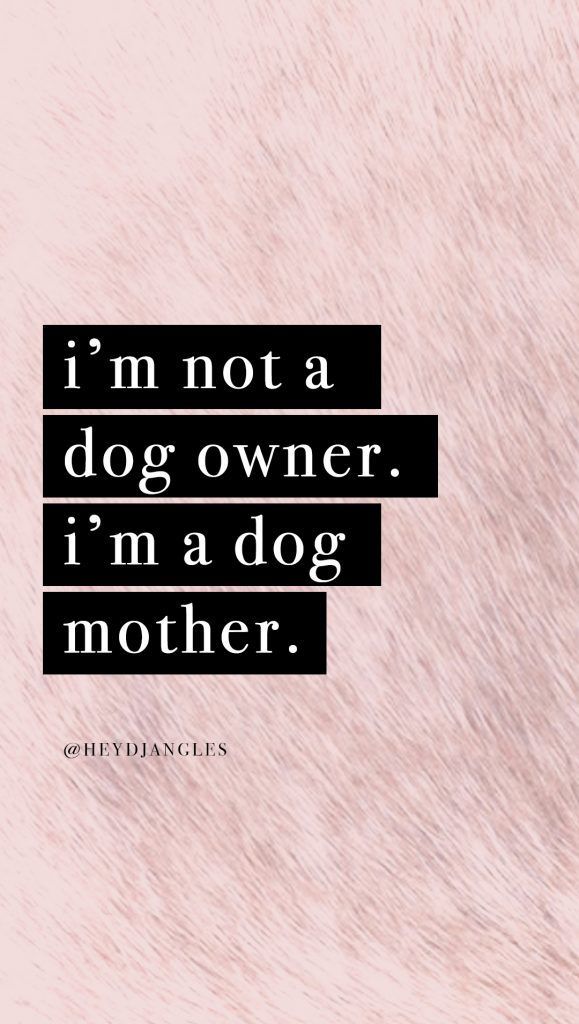 Free Dog Quote Wallpapers & Backgrounds