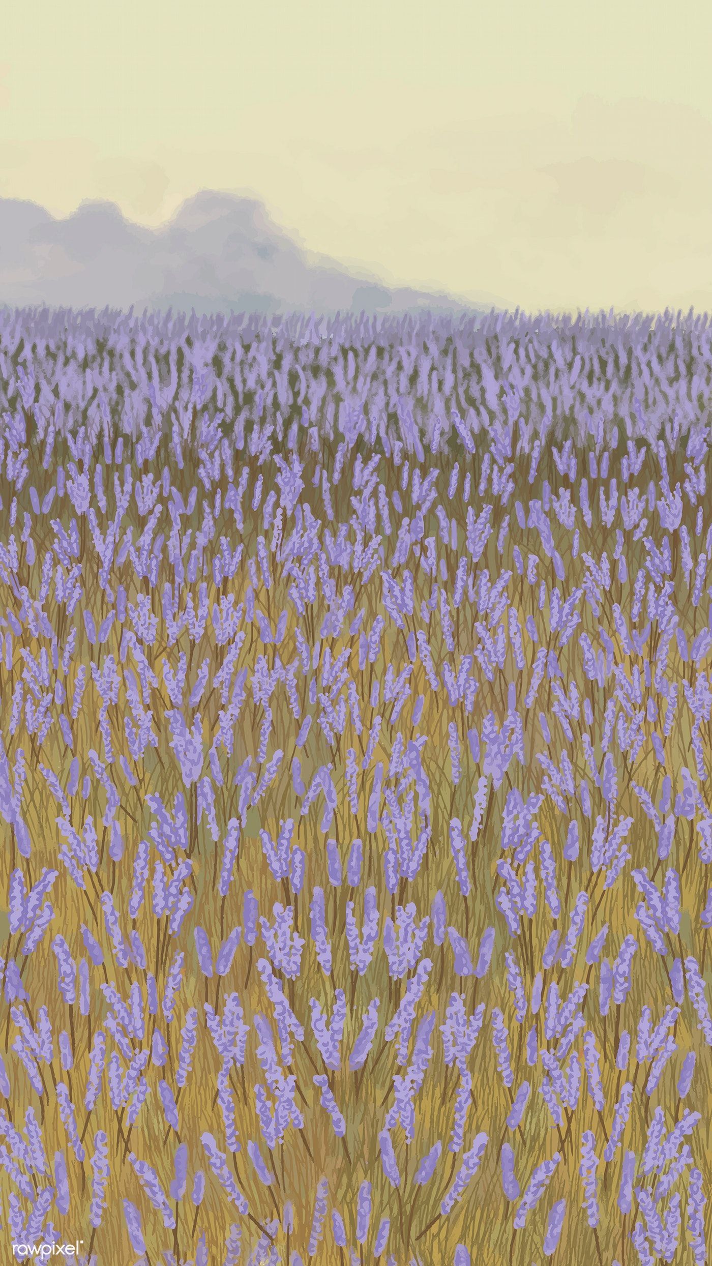 Wallpaper ID 368154  Earth Lavender Phone Wallpaper Flower Nature  Landscape Spring Field 1080x2280 free download