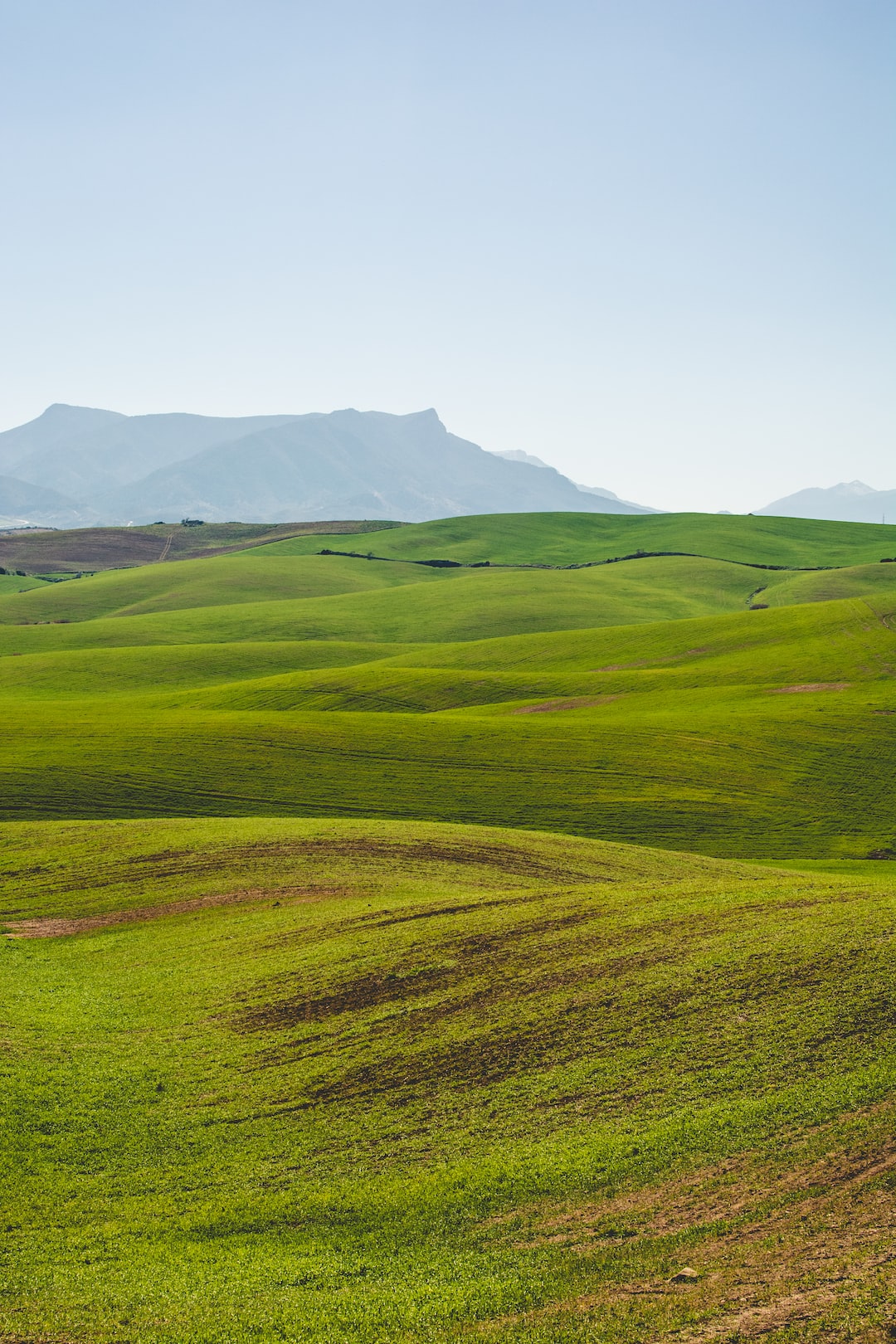 grass waves 2