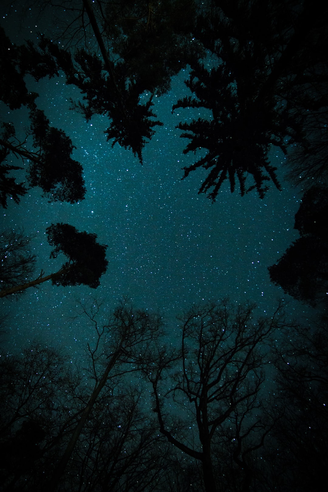 It was my first shot in the forest, where I just pointed the camera straight to the dark nightsky above me. Actually it wasn’t even planned to do that kind of shot, but it was a pretty nice spot to give it a try.