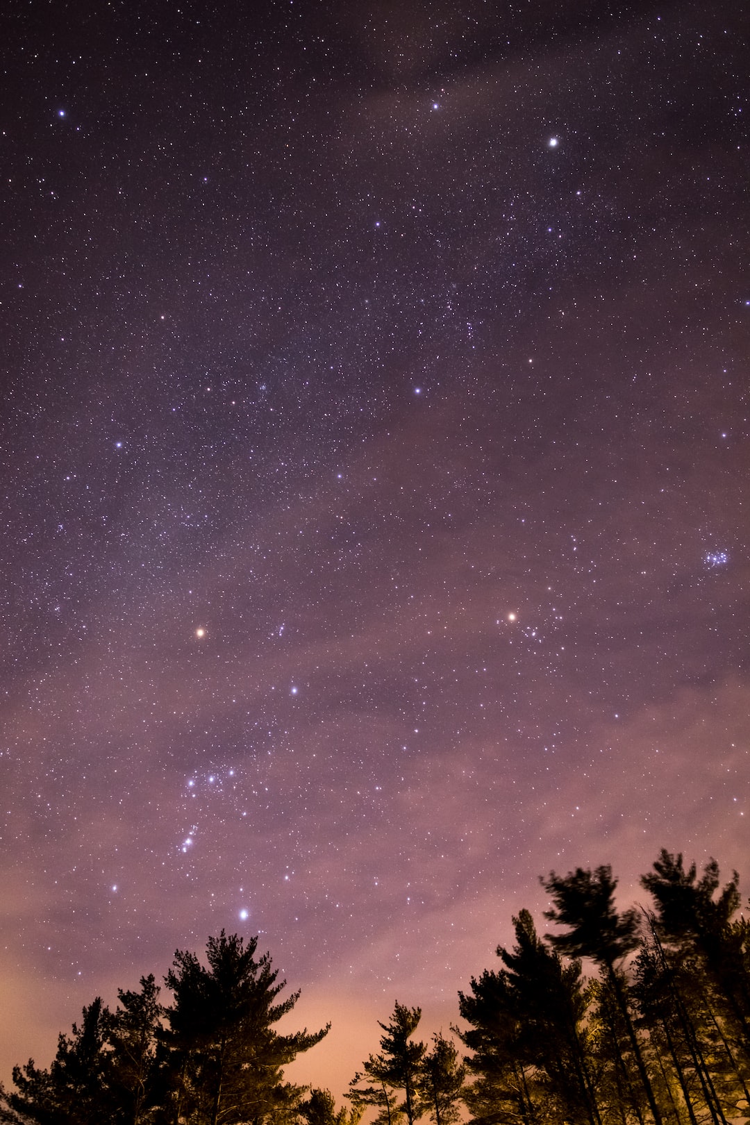 The Orion constellation shines above treetops on a slightly cloudy winter evening.