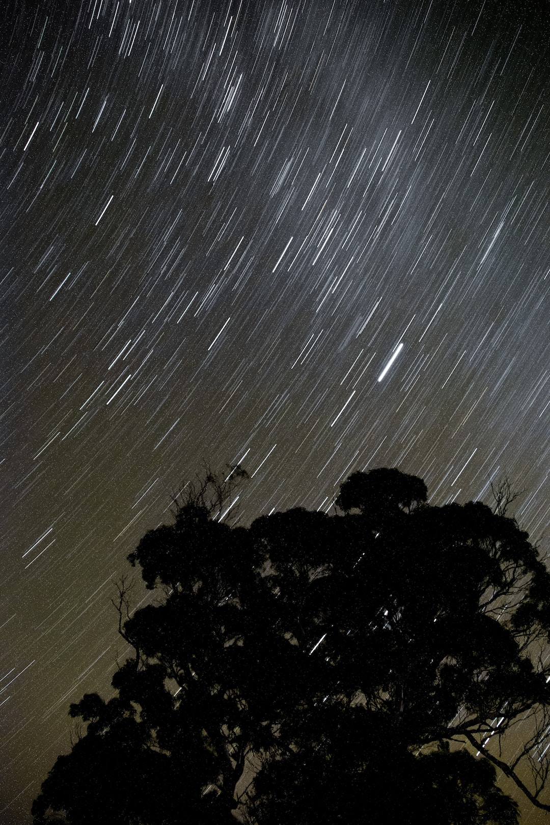 120 Star Gazing ideas  night skies stargazing scenery