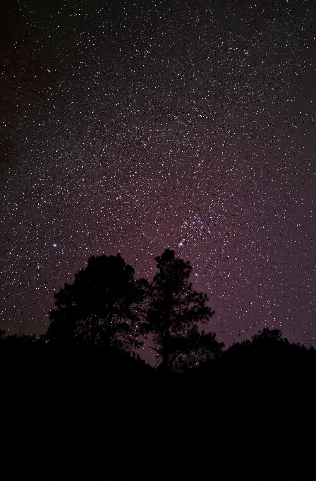 The night sky in the backcountry looking over some trees. There was no light pollution and so many stars were visible.