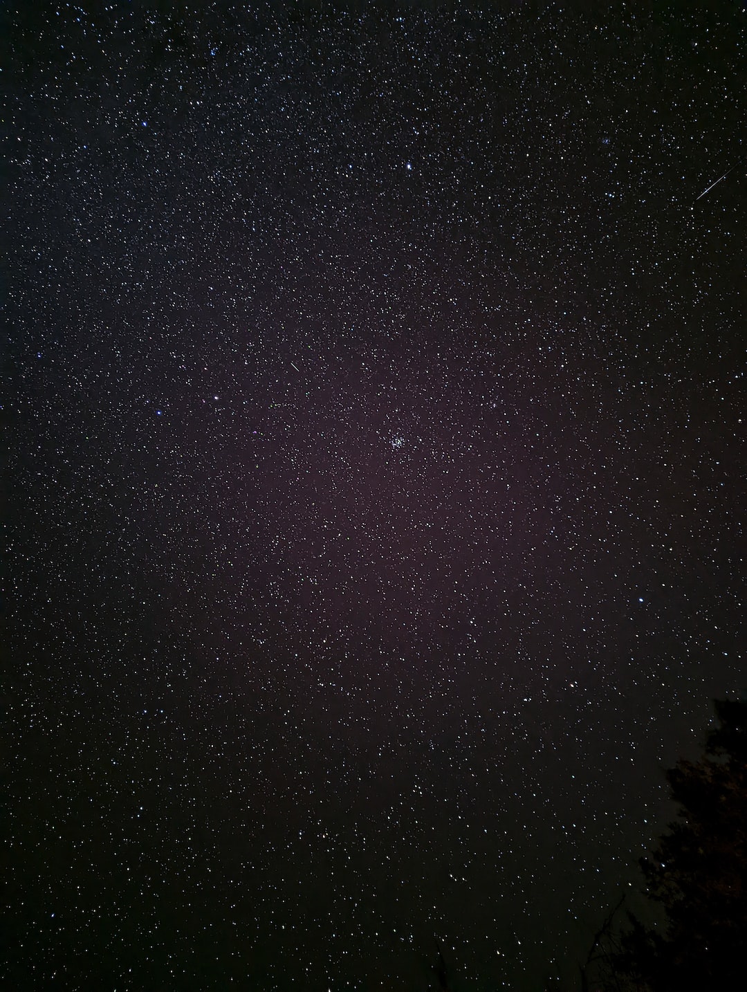 The night sky in the backcountry, there was no light pollution and so many stars were visible.