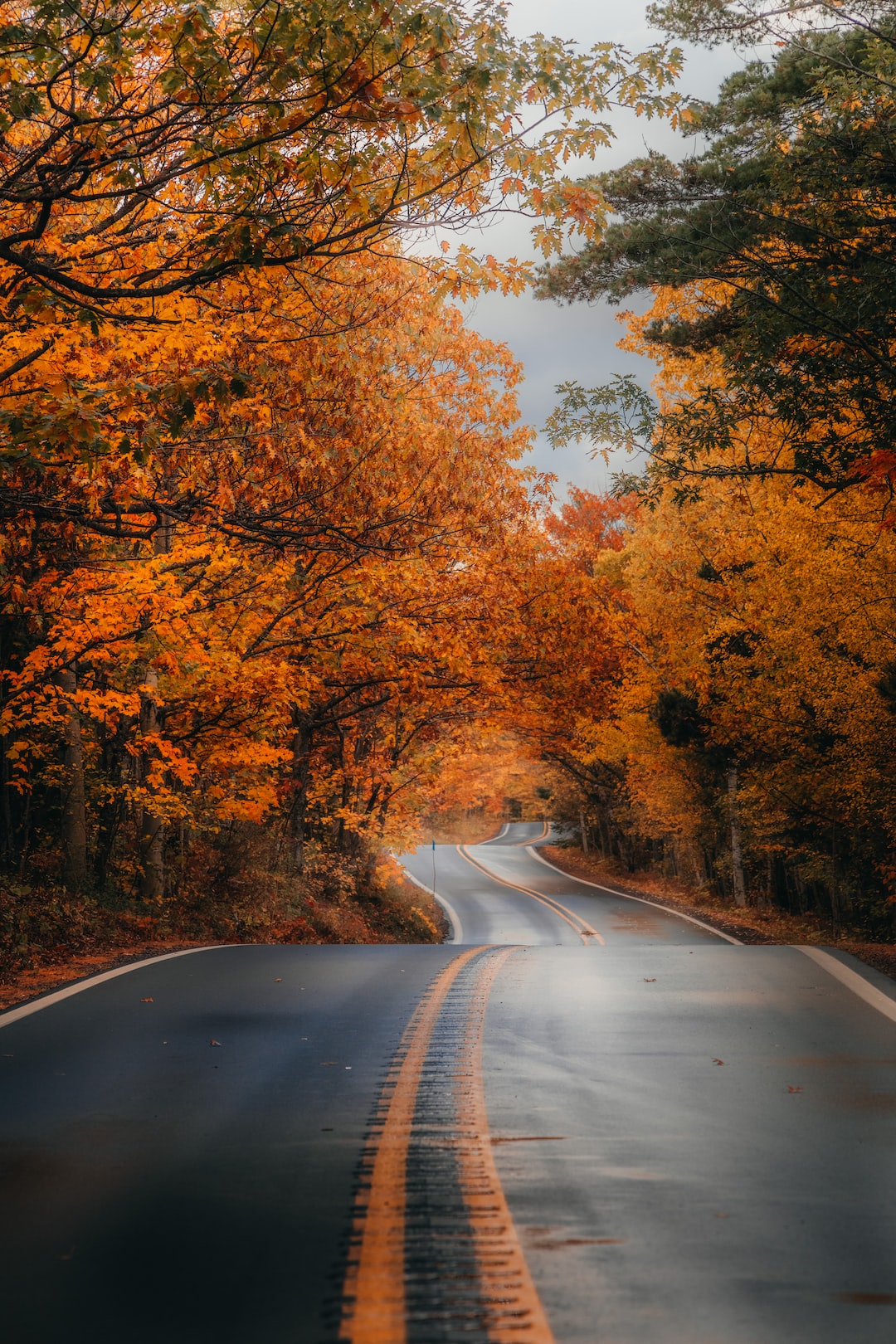 Scenic fall drives